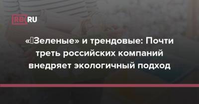 «‎Зеленые» и трендовые: Почти треть российских компаний внедряет экологичный подход - rb.ru - Россия