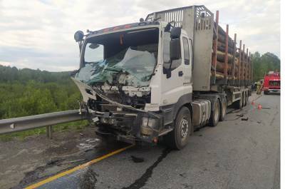 В Челябинской области водитель новой легковушки погиб в страшном ДТП с лесовозом - znak.com - Челябинская обл. - Уфа - Челябинск - Томск