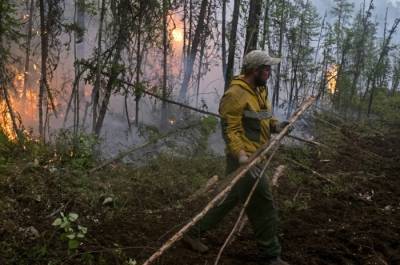 Лесные пожары зафиксированы в Якутии на площади более 1,3 млн га - interfax-russia.ru - респ. Саха - район Горный