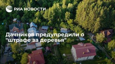 Алексей Петропольский - Глава Urvista Петропольский предупредил российских дачников о "штрафе за деревья" - ria.ru - Москва - Россия