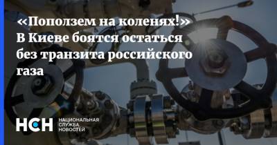 Дмитрий Корнейчук - «Поползем на коленях!» В Киеве боятся остаться без транзита российского газа - nsn.fm - Москва - Украина - Киев