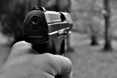 Полицейские задержали мужчину, который обстрелял окна жилого дома в Воскресенске - mk.ru - Московская обл. - Воскресенск