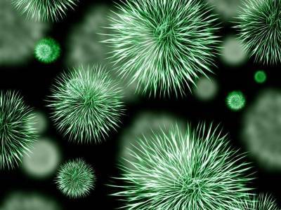 Ученые обнаружили на дне Марианской впадины аномально большие вирусы - actualnews.org - Китай