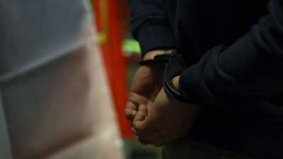 В РФ двух шпионов отправили в колонию за контрабанду деталей С-300 на Украину - iz.ru - Россия - Украина - Армения - Израиль - Ростов-На-Дону