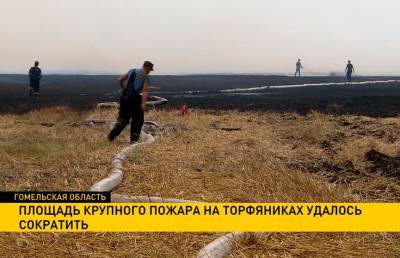 Площадь крупного пожара на торфяниках в Гомельской области удалось сократить - ont.by - Белоруссия - район Петриковский
