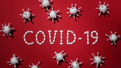 За минувшие сутки в Ленобласти зарегистрировали 242 новых случая COVID-19 - piter.tv - Ленинградская обл. - Всеволожск