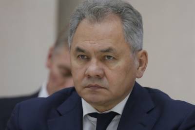 Сергей Шойгу - Шойгу: российская база в Таджикистане будет реагировать на угрозы стране - mk.ru - Россия - Таджикистан - Афганистан