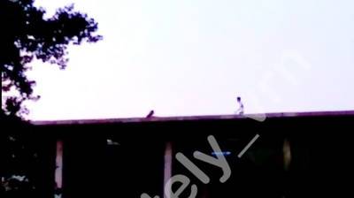 В воронежском Шилово дети устроили опасные игры на крыше недостроенного здания - vestivrn.ru - Воронеж