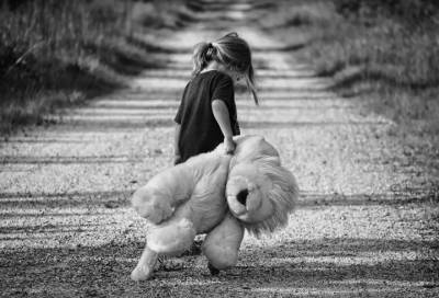 Под Гатчиной подростка обвиняют в изнасиловании 5-летней девочки - online47.ru - Ленинградская обл.
