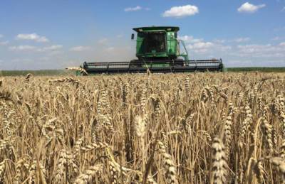 Сезонный минимум — позади: пшеница начала дорожать - agroportal.ua - Россия - Китай - США - Украина - Канада