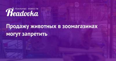 Владимир Бурматов - Продажу животных в зоомагазинах могут запретить - readovka.ru - Россия - Экология