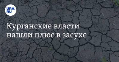 Игорь Субботин - Курганские власти нашли плюс в засухе - ura.news - Россия - Курганская обл.