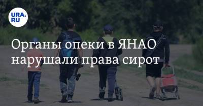 Органы опеки в ЯНАО нарушали права сирот - ura.news - окр. Янао - район Тазовский