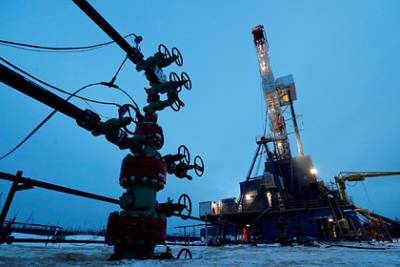Владимир Путин - Сардана Авксентьева - Зависимость России от «нефтяной иглы» посчитали заблуждением - lenta.ru - Россия - Якутск