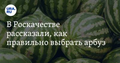 В Роскачестве рассказали, как правильно выбрать арбуз - ura.news