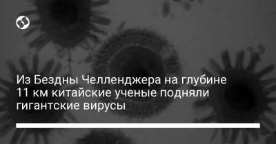 Из Бездны Челленджера на глубине 11 км китайские ученые подняли гигантские вирусы - liga.net - Украина - Bangkok