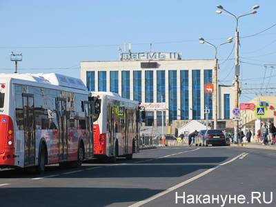 Глава прикамских "эсеров" призвала увеличить количество автобусов, курсирующих по Перми - nakanune.ru - Пермь