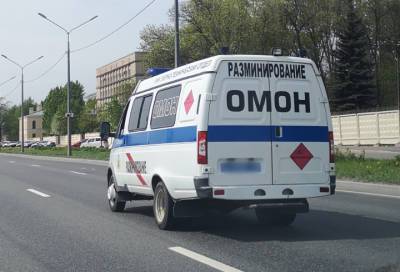 Найденный у мусорных баков боеприпас времен ВОВ пришлось обезвреживать взрывотехникам - online47.ru - Ленинградская обл. - Санкт-Петербург