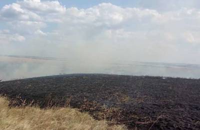 На Луганщине снова начались пожары сухой травы - lenta.ua - Украина - Луганская обл.