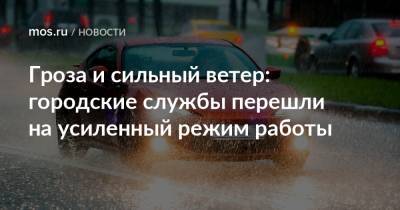 Гроза и сильный ветер: городские службы перешли на усиленный режим работы - mos.ru - Москва