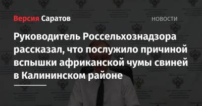 Руководитель Россельхознадзора рассказал, что послужило причиной вспышки африканской чумы свиней в Калининском районе - nversia.ru - Казахстан - Саратовская обл. - Самарская обл.