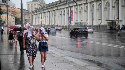Елена Волосюк - Жителей столицы предупредили о грозе в среду - vm.ru - Москва
