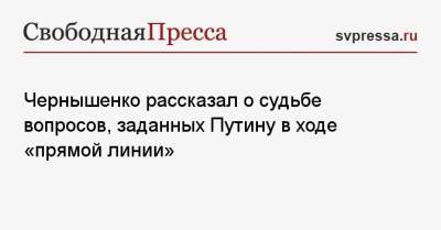 Владимир Путин - Дмитрий Чернышенко - Чернышенко рассказал о судьбе вопросов, заданных Путину в ходе «прямой линии» - svpressa.ru - Россия