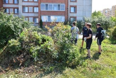В Пензе занимаются вопросом трудоустройства несовершеннолетних во время летних каникул - mk.ru - Пенза