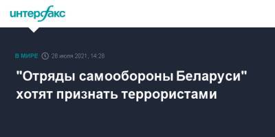 Александр Лукашенко - "Отряды самообороны Беларуси" хотят признать террористами - interfax.ru - Москва - Белоруссия