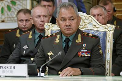 Сергей Шойгу - Вэй Фэнх - Шойгу назвал действия США в Афганистане работой «плохого дрессировщика» - lenta.ru - Россия - Китай - США - Душанбе - Афганистан