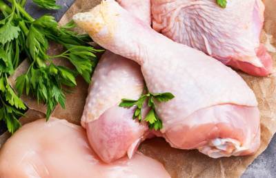 Украина за полгода импортировала курятины на $22 млн - agroportal.ua - Украина - Германия - Венгрия - Польша - Дания - Голландия