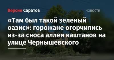 «Там был такой зеленый оазис»: горожане огорчились из-за сноса аллеи каштанов на улице Чернышевского - nversia.ru - Саратова