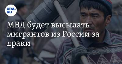 МВД будет высылать мигрантов из России за драки - ura.news - Москва - Россия - Санкт-Петербург - Московская обл. - Амурская обл. - респ. Дагестан - Свердловская обл.