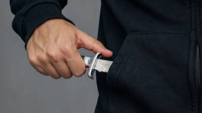 Житель Москвы устроил поножовщину из-за смерти кота - inforeactor.ru - Москва