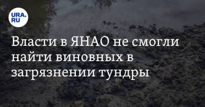 Власти в ЯНАО не смогли найти виновных в загрязнении тундры - ura.news - окр. Янао - район Пуровский