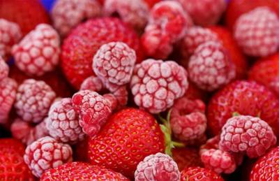 Производитель: Говорить о прибыли маленьких ягодников в органике сложно - agroportal.ua - Украина