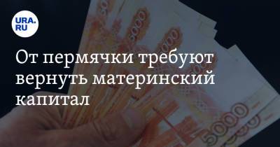 От пермячки требуют вернуть материнский капитал - ura.news - Челябинск - Пермский край