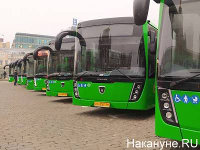 В Челябинске приостановлен аукцион на покупку 110 автобусов за 1,3 млрд рублей - nakanune.ru - Челябинск