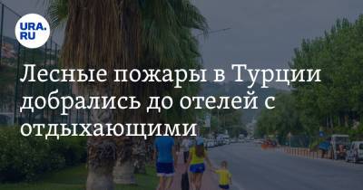 Лесные пожары в Турции добрались до отелей с отдыхающими. Видео - ura.news - Россия - Турция