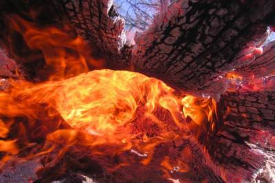 В Анталье вспыхнул сильный лесной пожар - aif.ru - Turkey - провинция Анталья - Манавгат
