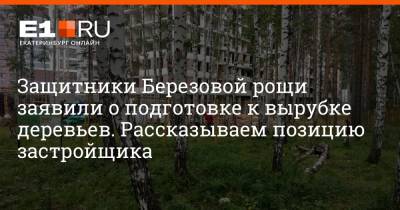 Защитники Березовой рощи заявили о подготовке к вырубке деревьев. Рассказываем позицию застройщика - e1.ru - Екатеринбург