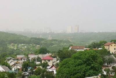 Борис Срезневский - Стало известно, на каких улицах Киева самый грязный воздух - lenta.ua - Украина - Киев - Экология