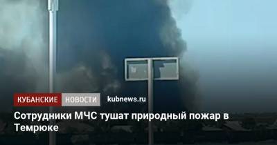 Сотрудники МЧС тушат природный пожар в Темрюке - kubnews.ru - Россия - Краснодарский край - Темрюк
