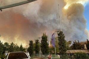 В Анталии вспыхнули масштабные лесные пожары - novostiua.news - Украина - Турция - Манавгат