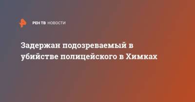 Татьяна Петрова - Задержан подозреваемый в убийстве полицейского в Химках - ren.tv - Россия - Московская обл.