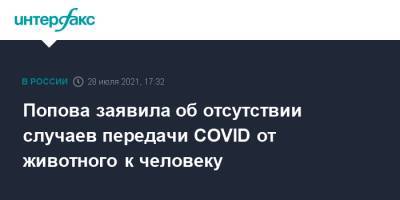 Анна Попова - Попова заявила об отсутствии случаев передачи COVID от животного к человеку - interfax.ru - Москва - Россия - Дания