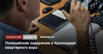 Полицейские задержали в Краснодаре квартирного вора - kubnews.ru - Краснодарский край - Краснодар