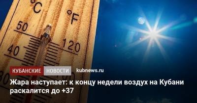 Жара наступает: к концу недели воздух на Кубани раскалится до +37 - kubnews.ru - Россия - Краснодарский край