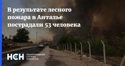 Бекир Пакдемирли - В результате лесного пожара в Анталье пострадали 53 человека - nsn.fm - Россия - Турция
