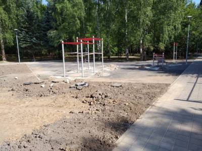 Спортэлементы монтируют на воркаут-площадке в сквере Приокского района - vgoroden.ru - Нижний Новгород - район Приокский - Нижний Новгород - Благоустройство